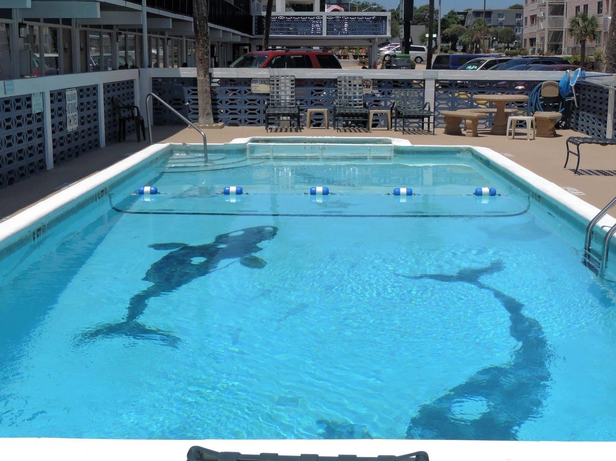 Sea Hawk Oceanfront Motel Миртл-Бич Экстерьер фото